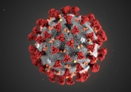 Coronavirus: Bolzonello (Pd), psicosi uccide economia Fvg