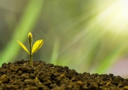 Ambiente: Conficoni (Pd), assestamento debole su obiettivi green deal