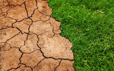 Crisi idrica: Martines (Pd), Consiglio affronti problema strutturale con piano pluriennale