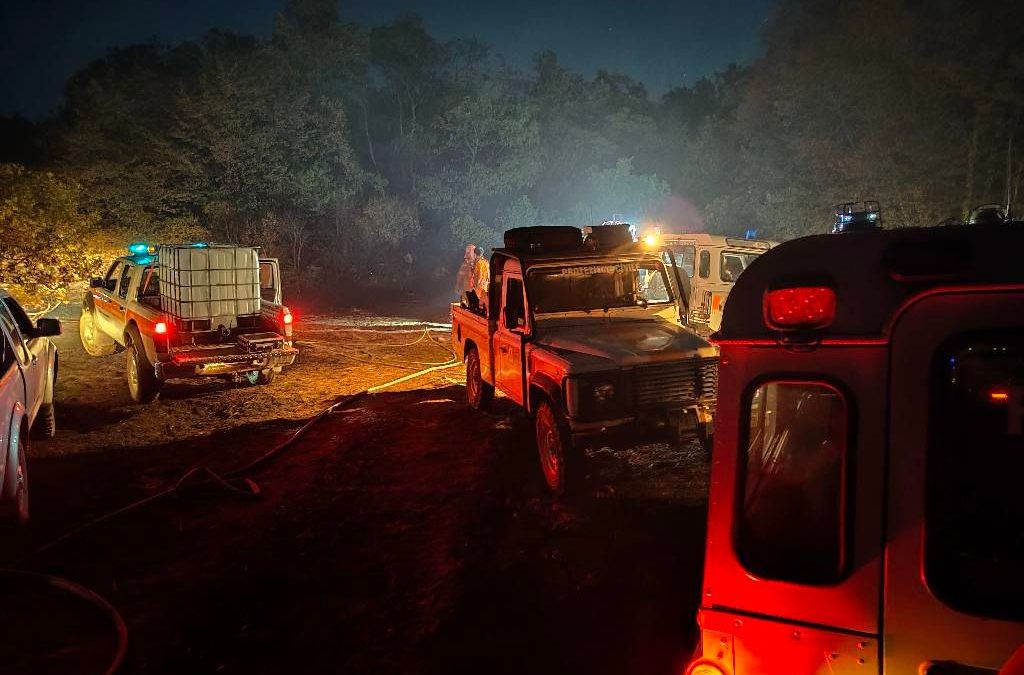 Incendio Carso: Moretti (Pd), grazie a operatori e volontari che lavorano per uscita da emergenza