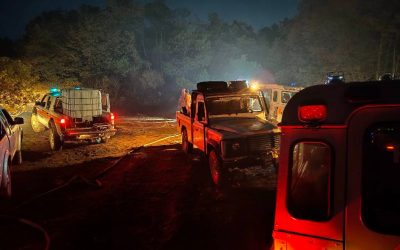Incendio Carso: Moretti (Pd), grazie a operatori e volontari che lavorano per uscita da emergenza
