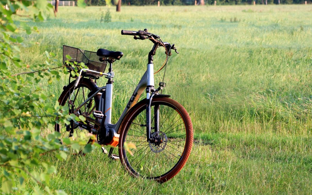 Mobilità: Conficoni (Pd), bonus biciclette, meglio tardi che mai