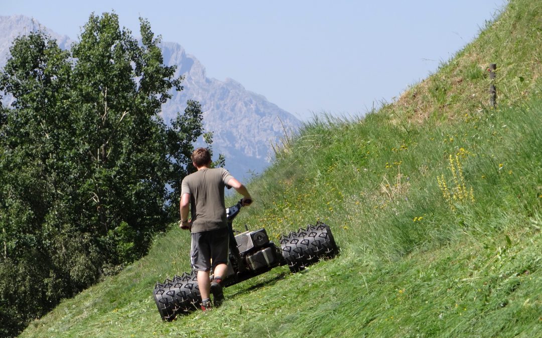 Assestamento: Mentil (Pd), per la montagna servono risultati no slogan