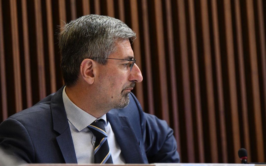 Terziario: Carli (Pd), valore ai territori con cooperative di comunità