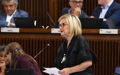 Fonderia Livarna: Fasiolo (Pd), serve cooperazione transfrontaliera