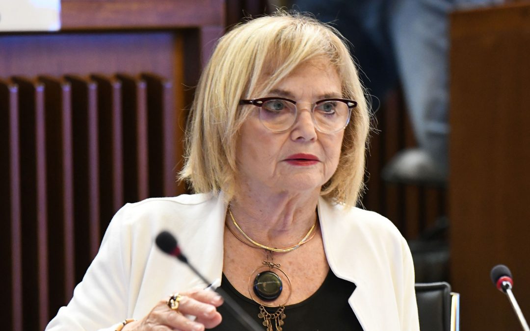 Sessione Europea: Fasiolo (Pd), intervenire su gap fiscale ai confini