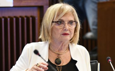 Sessione Europea: Fasiolo (Pd), intervenire su gap fiscale ai confini