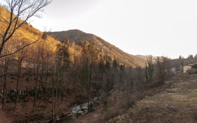 Montagna: Pozzo (Pd), azioni concrete per valli Natisone e Torre