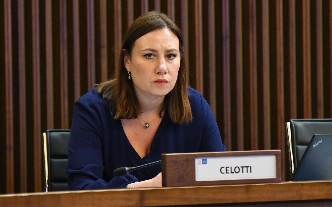 Territorio: Celotti (Pd), sulle Province il nulla cosmico