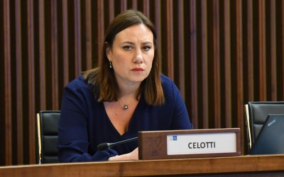 Territorio: Celotti (Pd), sulle Province il nulla cosmico