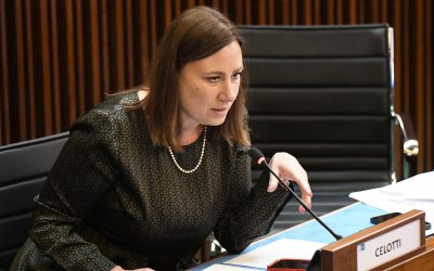 Sicurezza: Celotti (Pd), dopo attacchi a De Toni, Anzil chieda scusa