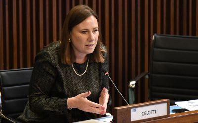 Lavoro: Celotti (Pd), su ddl 59 non ci sia chiusura a nostre proposte