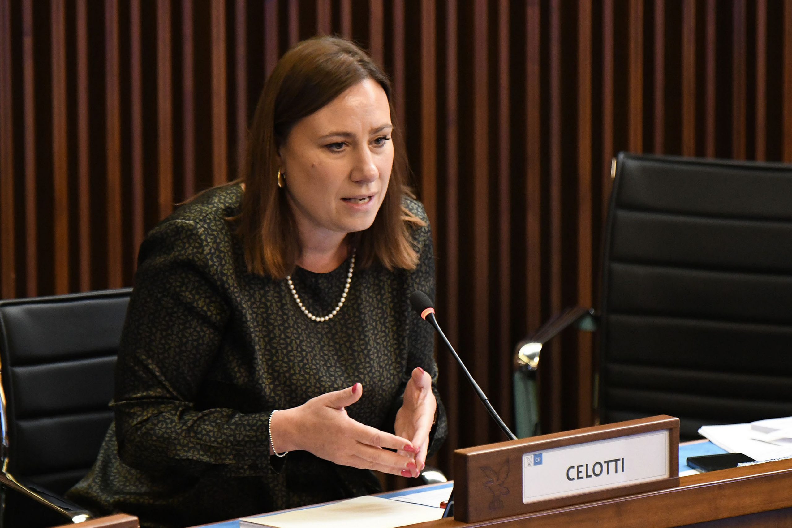 CELOTTI(PD) IV COM 6 MAG 2025 (3)