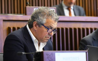 Musei: Martines (Pd), Palmanova si amplia, servirà regia per gestione