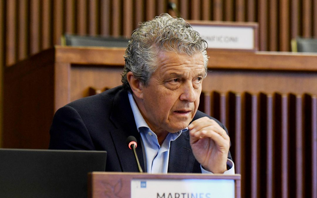 Omnibus: Martines, ddl finora parziale e poco condiviso