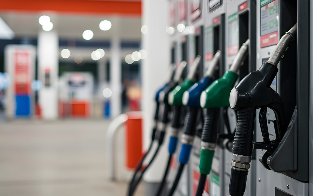 Carburanti: Carli (Pd), legge deludente e non condivisa