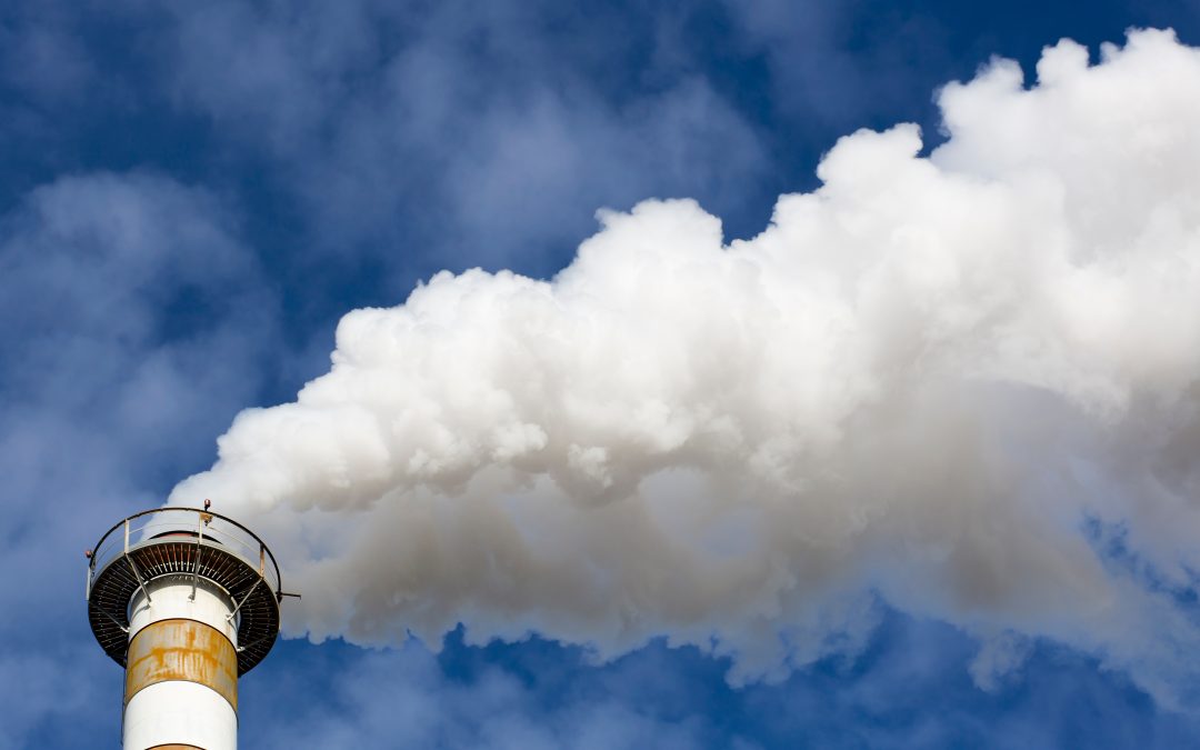 Rifiuti: Moretti (Pd), chiarezza su termovalorizzatore da 400 mila tonnellate in Aussa Corno