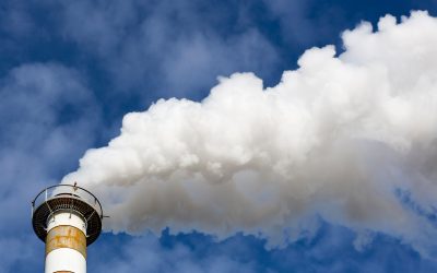 Rifiuti: Moretti (Pd), chiarezza su termovalorizzatore da 400 mila tonnellate in Aussa Corno