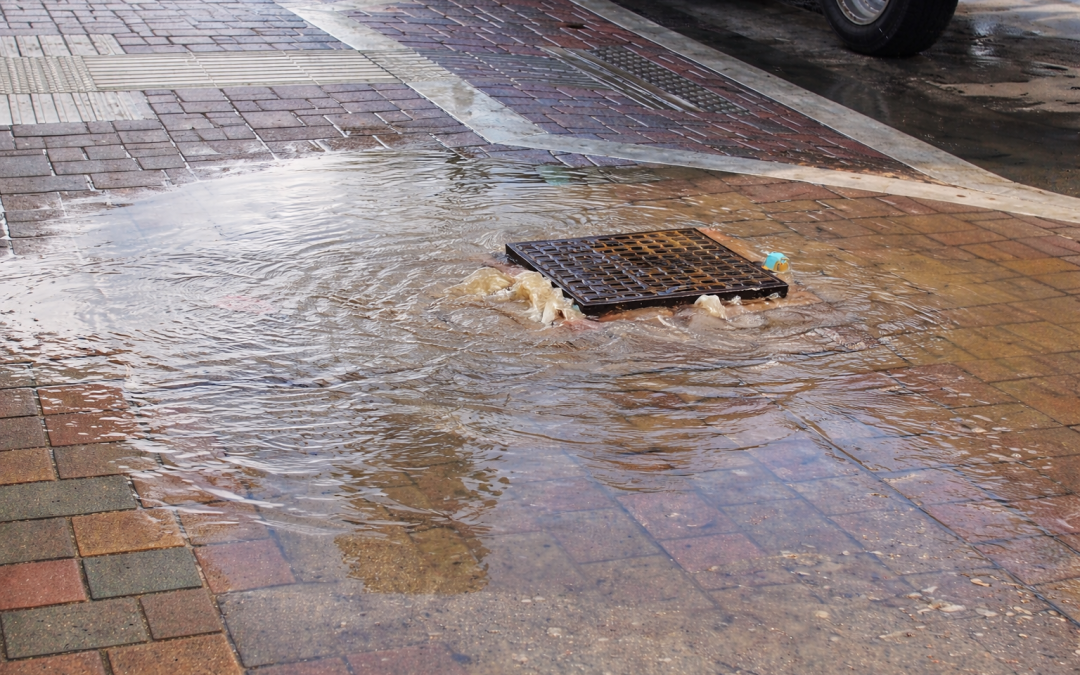 Ambiente: Celotti (Pd), nuova linea contributiva per regimentare acque