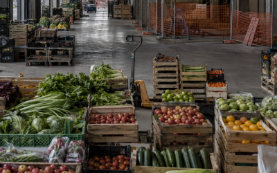 Udine: Opposizioni, cdx chiude a sostegno mercato ortofrutticolo