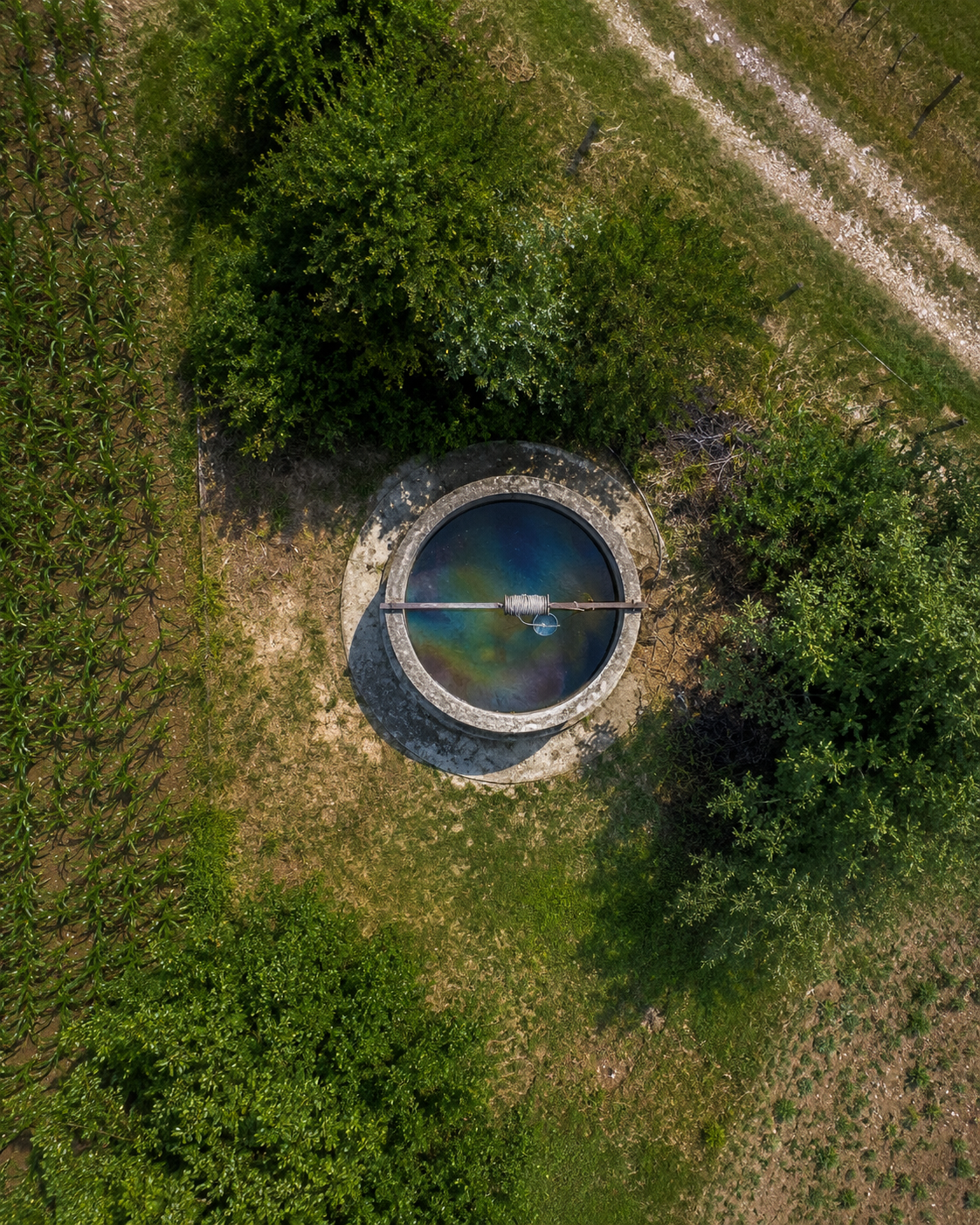 POZZO_ACQUA_AI_GENERATED POZZO_ACQUA_AI_GENERATED