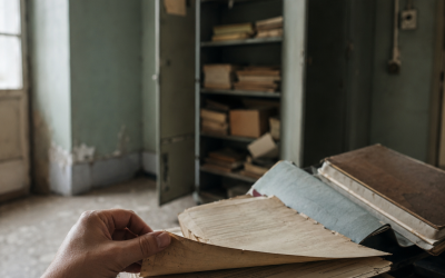 Assestamento: Fasiolo (Pd), segnali positivi su Archivio Basaglia