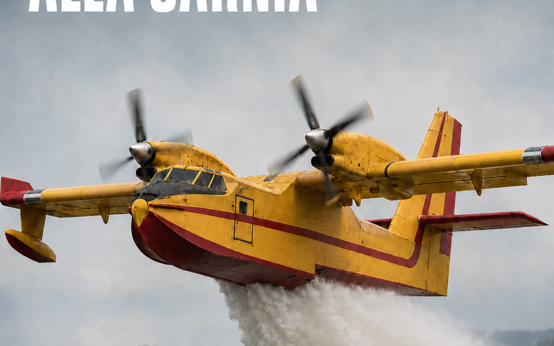 INCENDI, GRUPPO PD: VICINANZA ALLA CARNIA, PRIORITÀ A PERSONE E COMUNITÀ