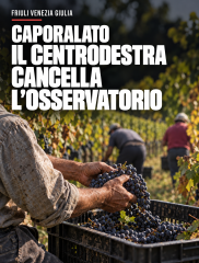 Immagine pubblicata con il comunicato: Caporalato: Gruppo Pd, abrogazione commissione errore del cdx