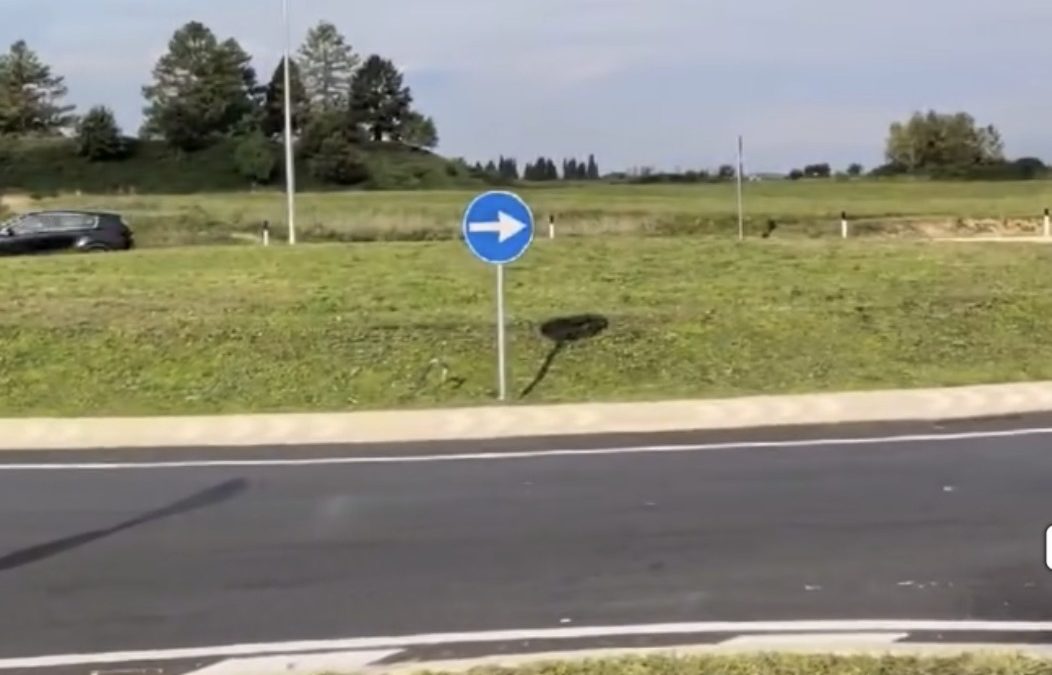 Viabilità: Martines (Pd), a Palmanova ingressi in sicurezza
